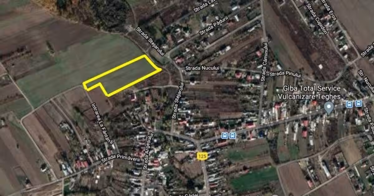 Domnesti-Teghes, 10000mp, 50X200, intravilan, acces 2 strazi, utilitati in zona