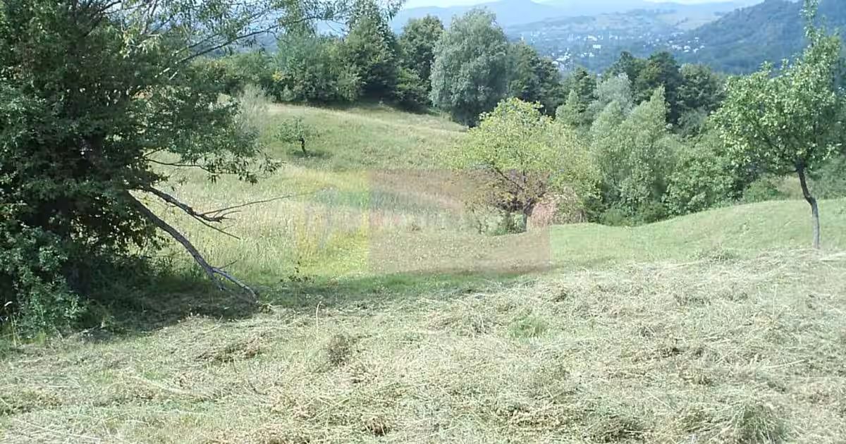 Teren agricol extravilan de 4404 mp, în Telega
