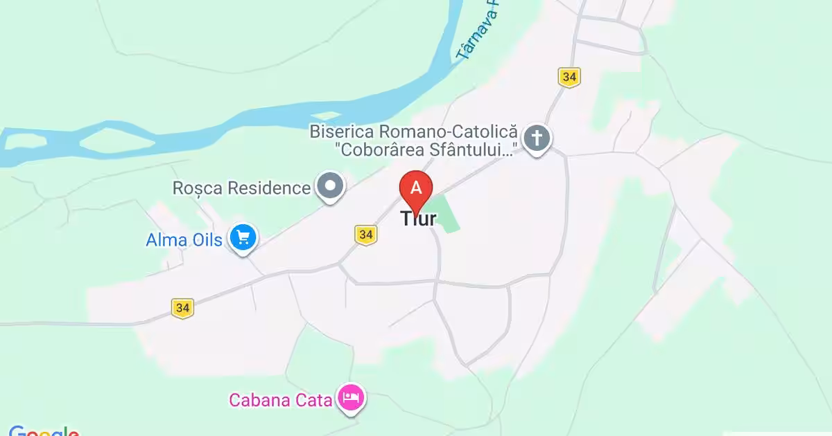 Teren agricol extravilan de 15000 mp, în Tiur