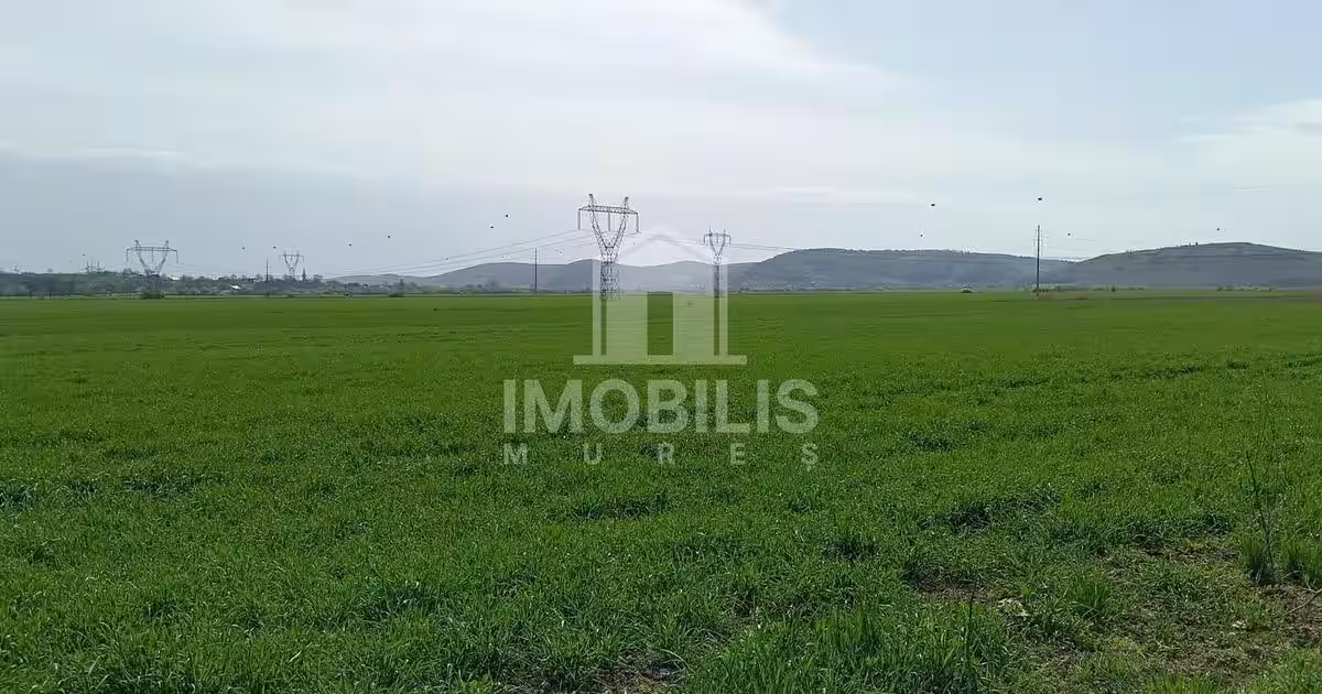 ‼️OPORTUNITATE DE INVESTIȚIE‼️ Teren Zona Ungheni | 44376 mp