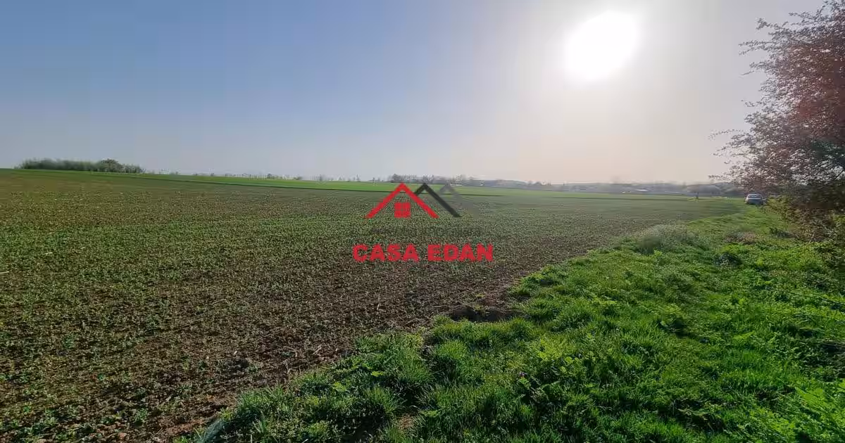 Teren agricol extravilan de 5000 mp, în Urleta