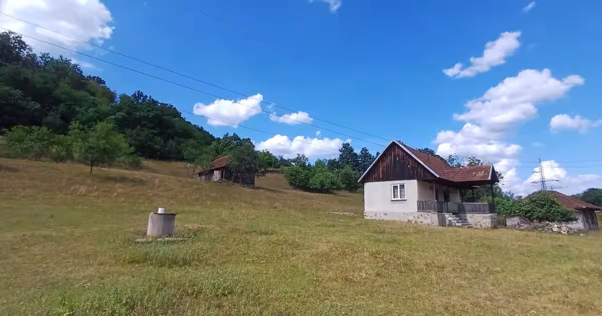 Teren agricol intravilan de 14368 mp, în Valea Bradului