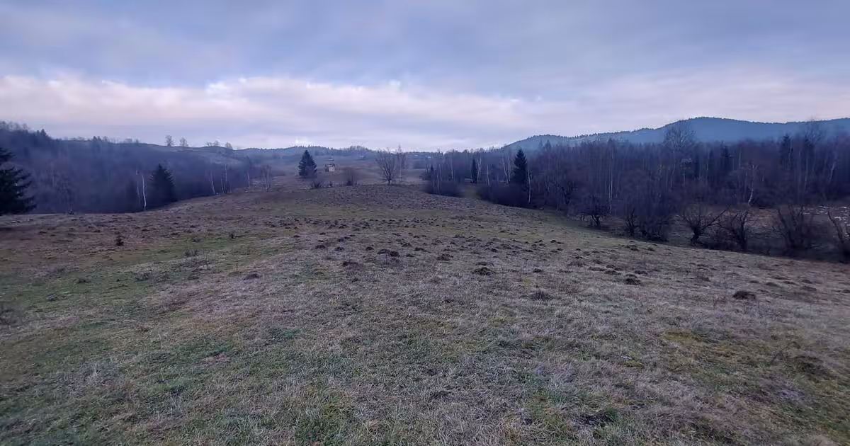 Teren agricol extravilan de 53360 mp, în Vama