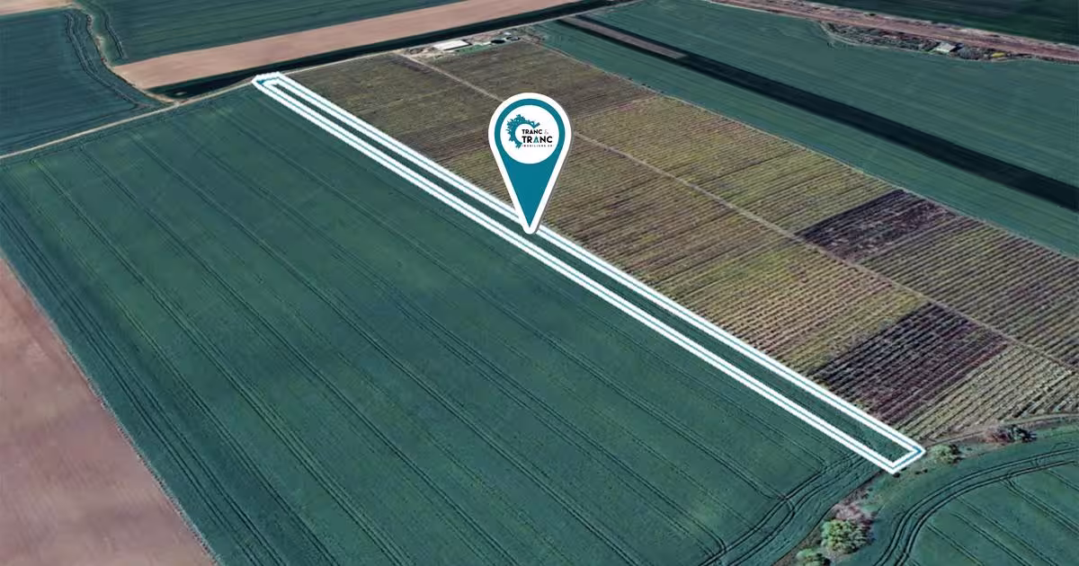 Teren agricol extravilan de 10057 mp, în Zimandu Nou