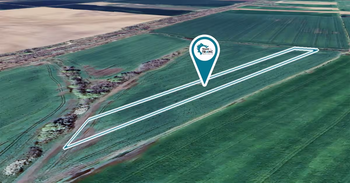 Teren agricol extravilan de 11400 mp, în Zimandu Nou