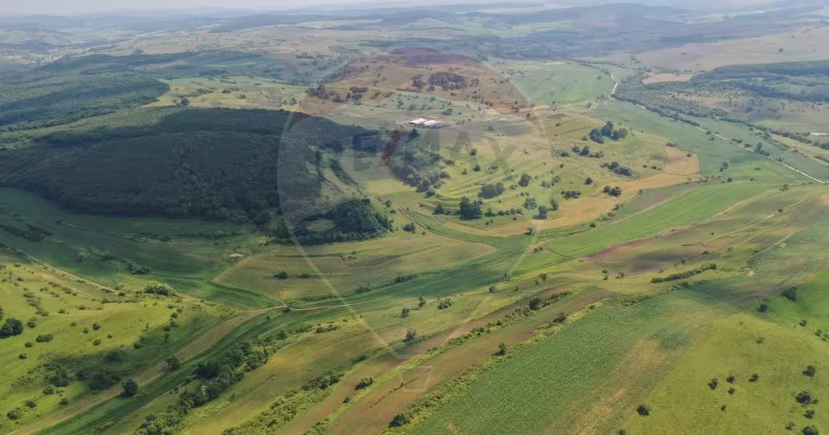 Teren agricol extravilan de 3000000 mp, în Zlagna