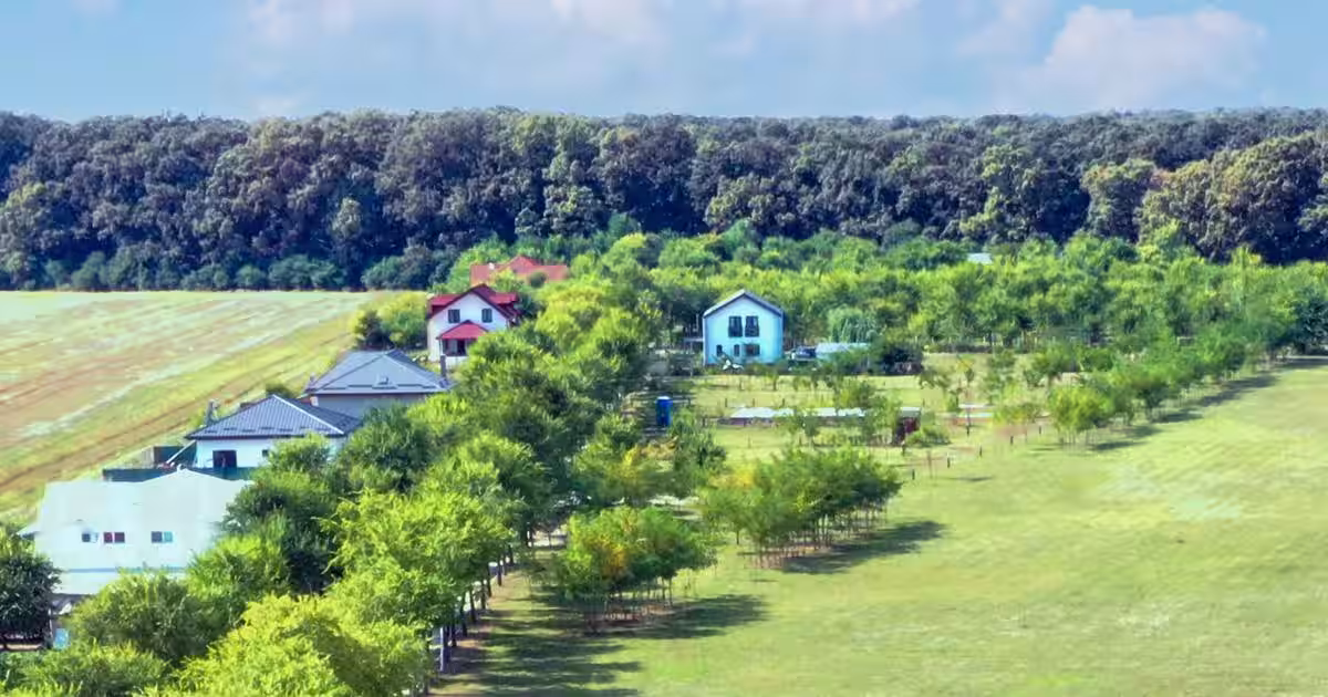 Teren de vanzare Strada Pădurii – „Un loc pe care nu îl alegi, ci te alege.”