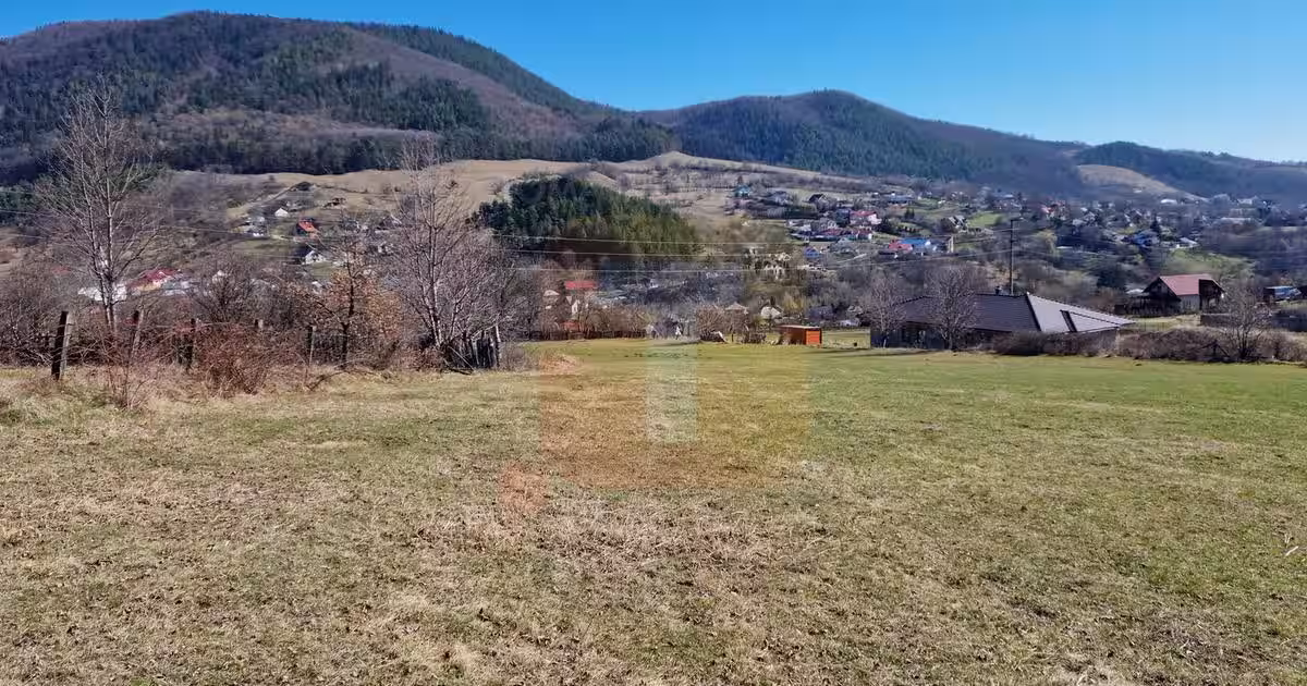 Teren intravilan de 4.000 mp în Bistrița – Alexandru cel Bun