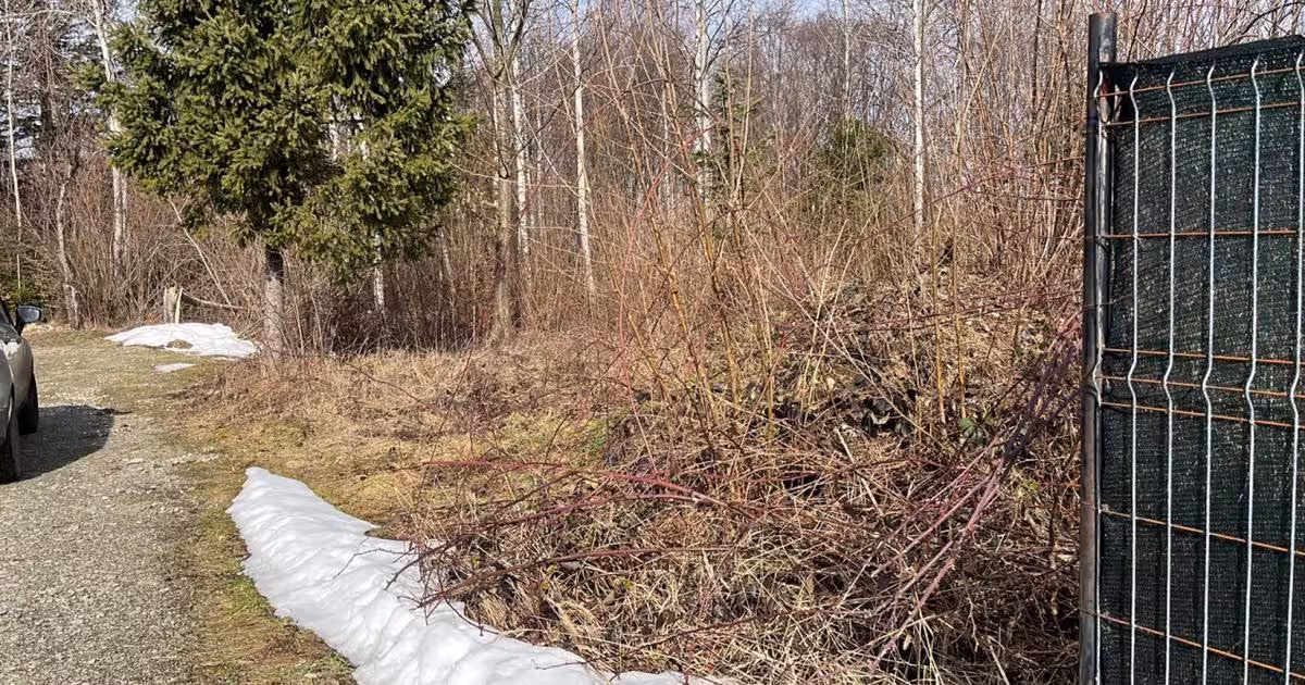 Teren Construcții intravilan de 744 mp, în zona Exterior Vest, Avrig