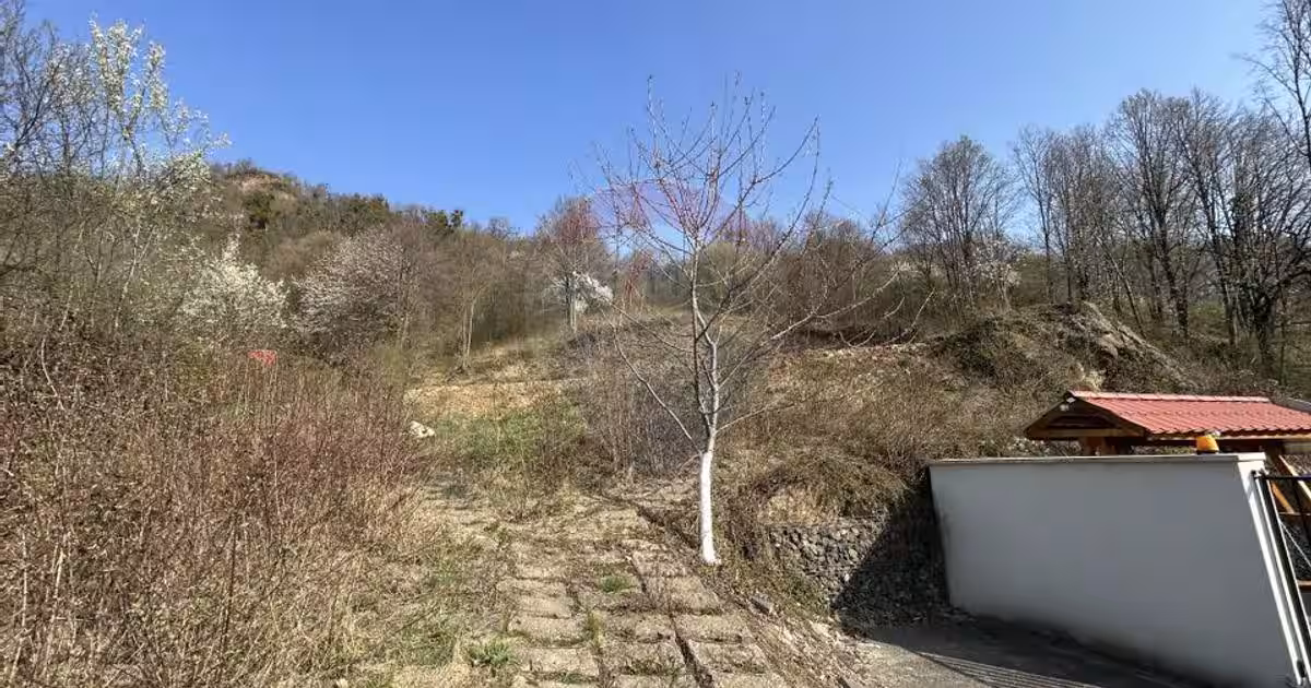 Teren Construcții intravilan de 756 mp, în zona Valea Roșie, Baia Mare