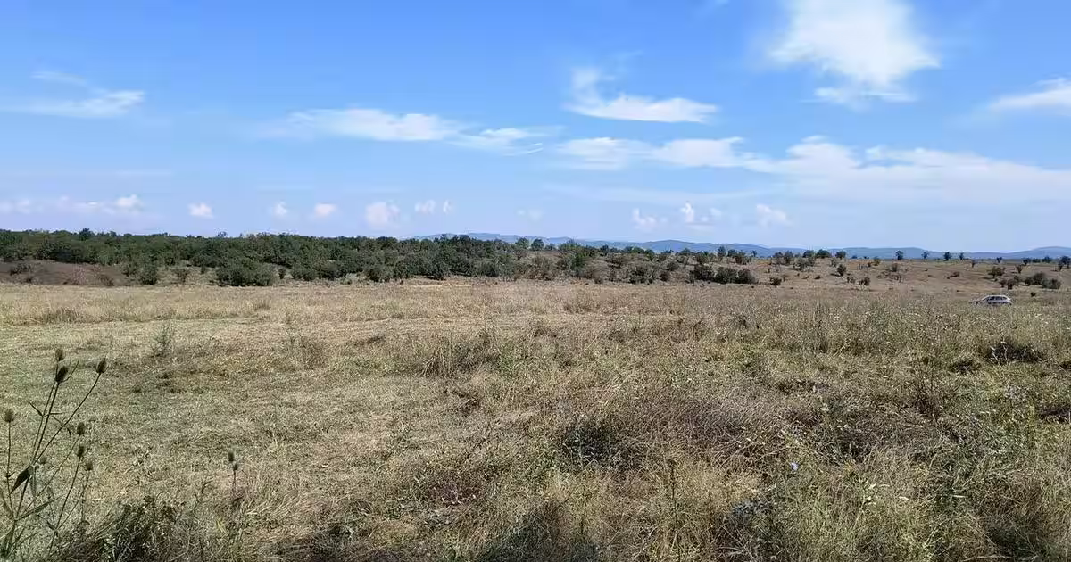 Teren Construcții intravilan de 1000 mp, în Băicoi