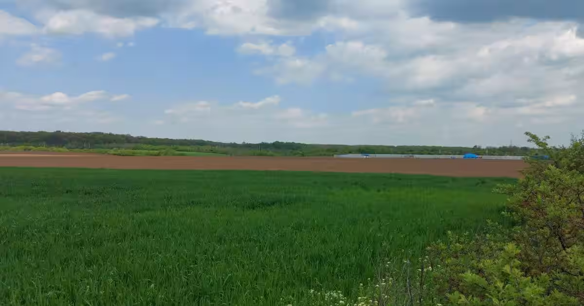 SCROVISTEA, TEREN INTRAVILAN, 3,5 HA – 75 ML FRONT STRADAL + 75 ML LA PĂDURE