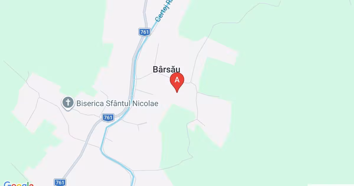 Teren Construcții extravilan de 2500 mp, în Bârsău
