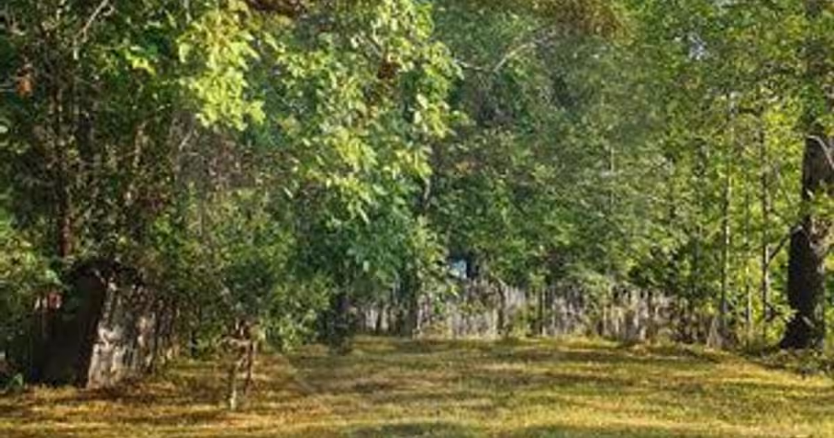 Teren Construcții intravilan de 4972 mp, în Bertea