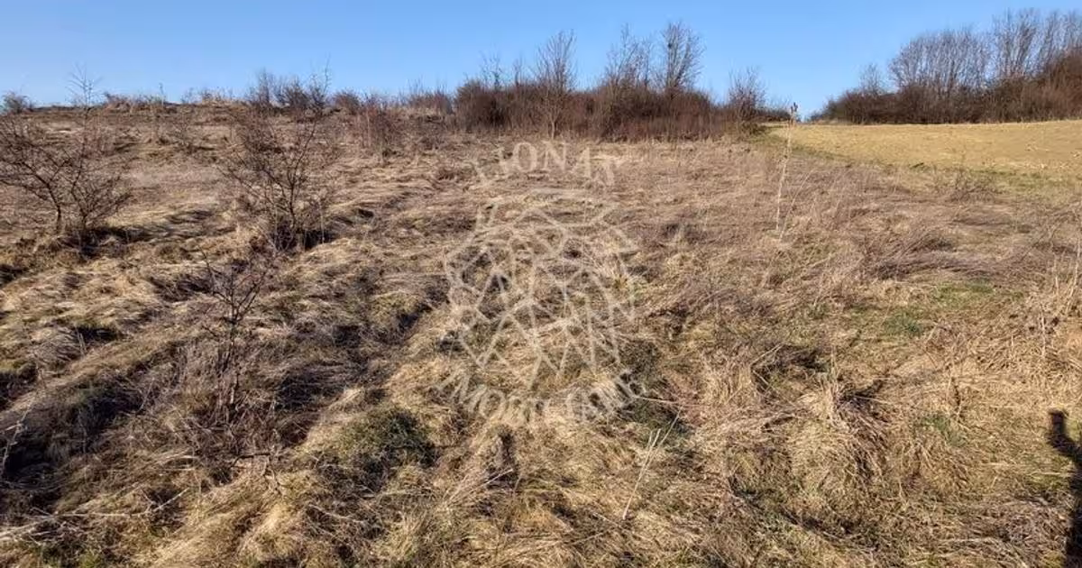 Teren Construcții extravilan de 2100 mp, în zona Sud, Bistrița