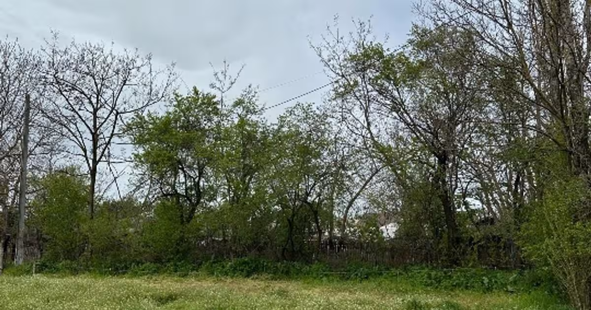 Teren Construcții intravilan de 2250 mp, în Borănești