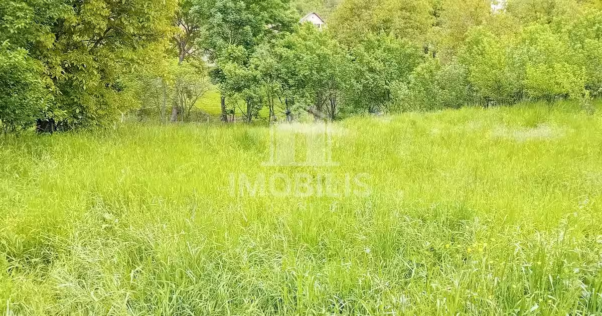 Teren Construcții intravilan de 994 mp, în Budiu Mic