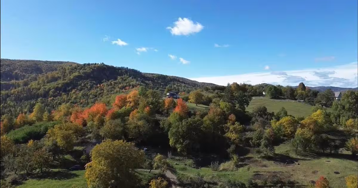 Teren Construcții intravilan de 3500 mp, în Cacica