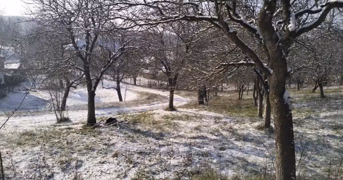 Moșia boierească din vârf de deal, Scorțeni - Prahova, comision 0%