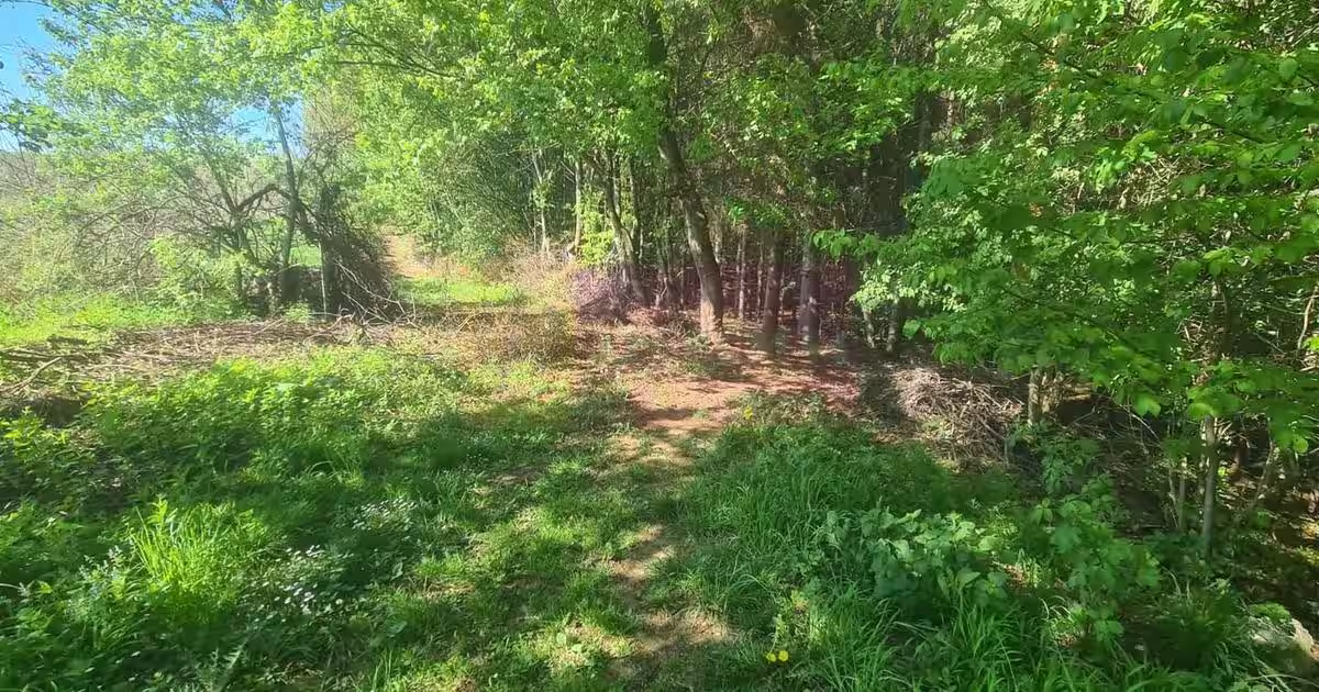 Teren Construcții intravilan de 2500 mp, în zona Voila, Câmpina