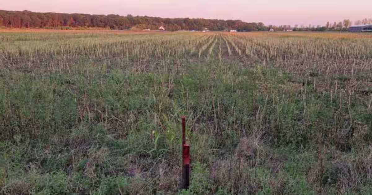 Teren de vanzare|Ciolpani |Utilitati si acces facil in Bucuresti