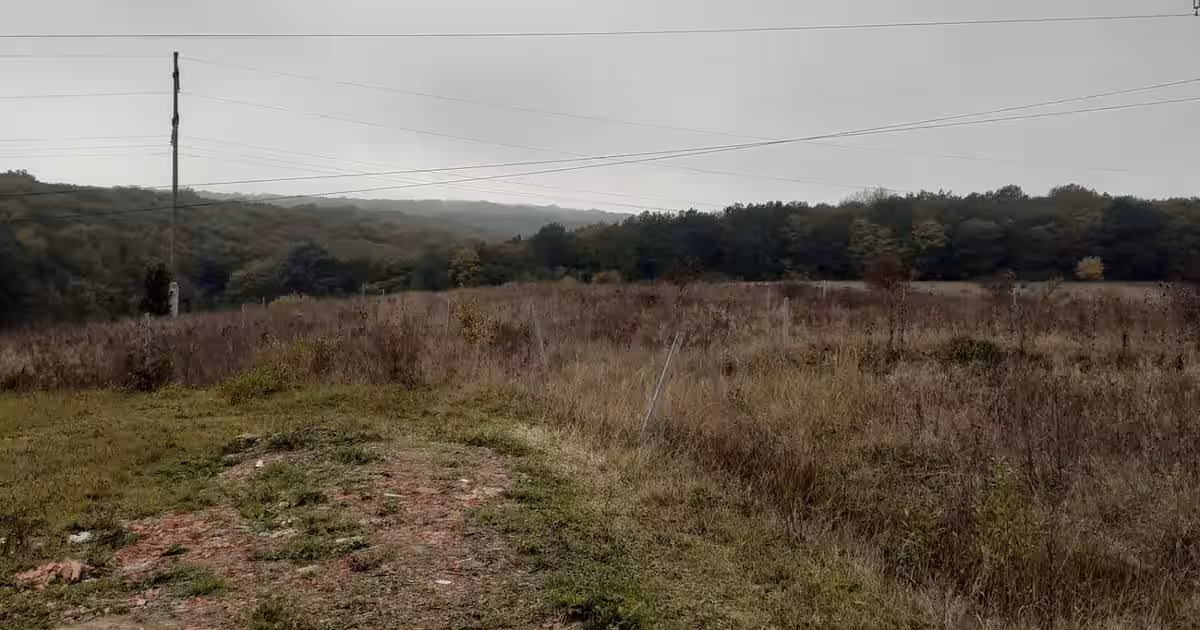 Vand teren i.v.  pentru constructii, zona Corunca, zona Sapientia