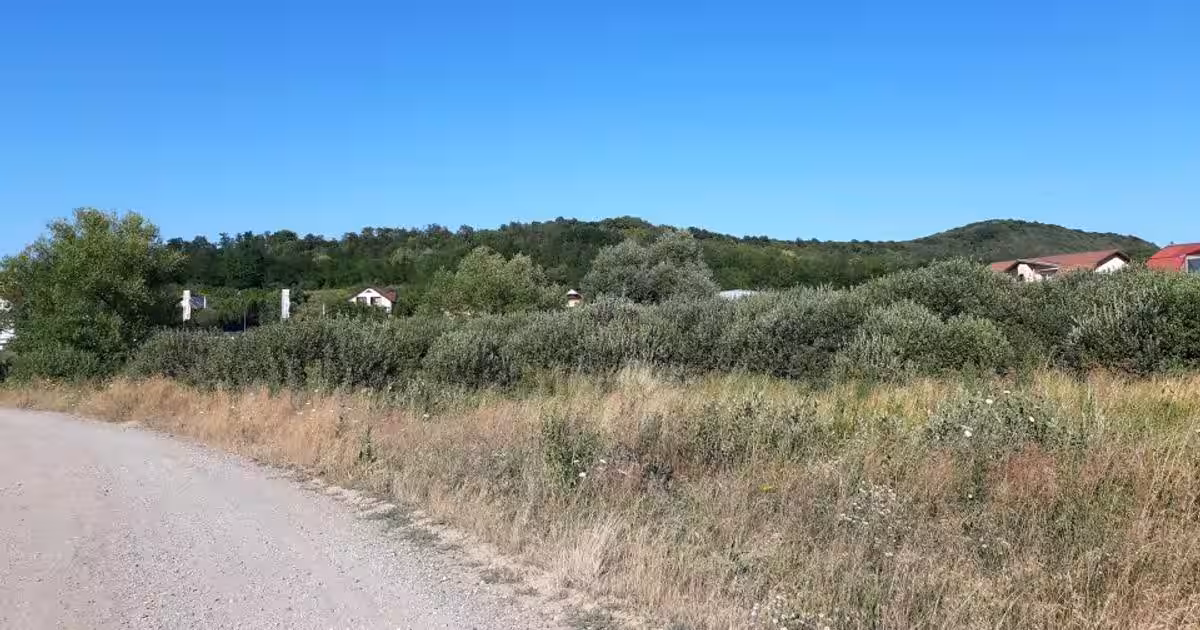 Teren plat, intravilan, zona rezidentiala in Corunca. Ideal pentru investitor