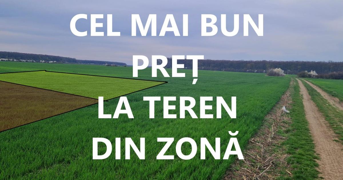 Academia  Titi Aur, 544 mp., PARTICULAR, intravilan construibil, 5.500E/lot