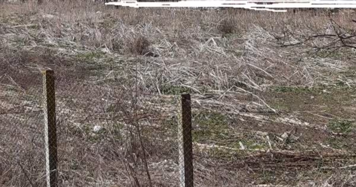 Teren Construcții intravilan de 11800 mp, în Cristești