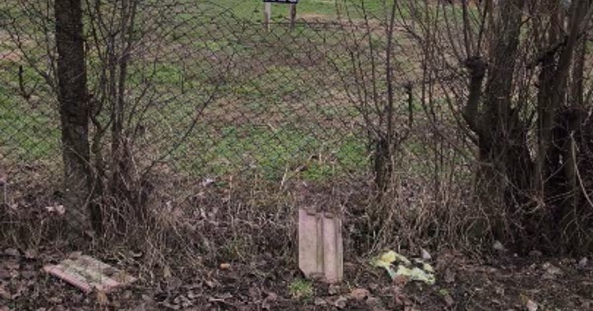 Teren Construcții intravilan de 1533 mp, în Diniaș