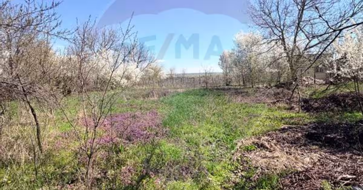 Teren Construcții intravilan de 3700 mp, în Dobriceni