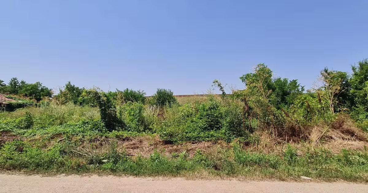 Teren Construcții intravilan de 924 mp, în Dridu