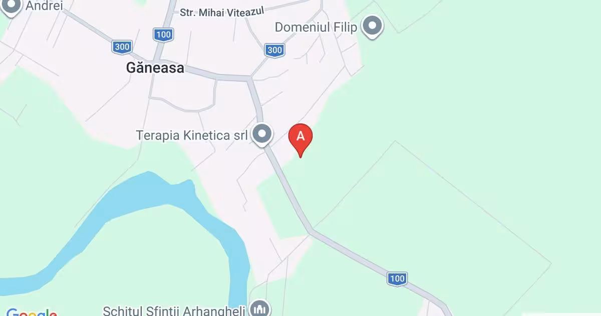 Teren Construcții intravilan de 5800 mp, în Găneasa