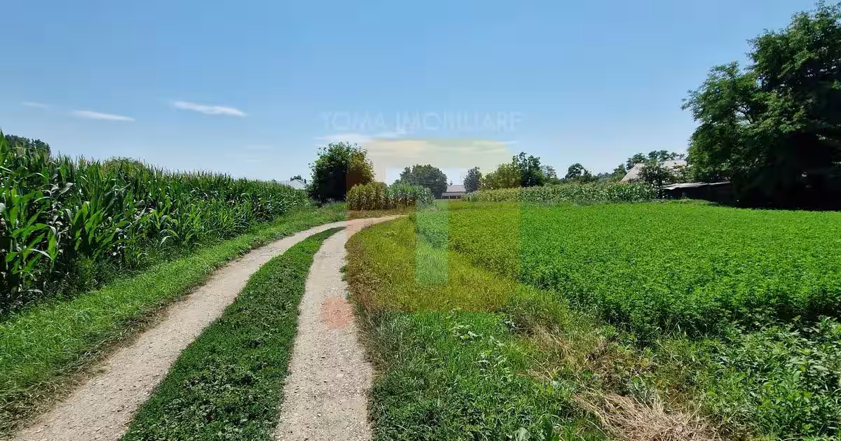 Teren intravilan 4.133 mp cu dublă deschidere – Girov, Neamț | Toma Imobiliare