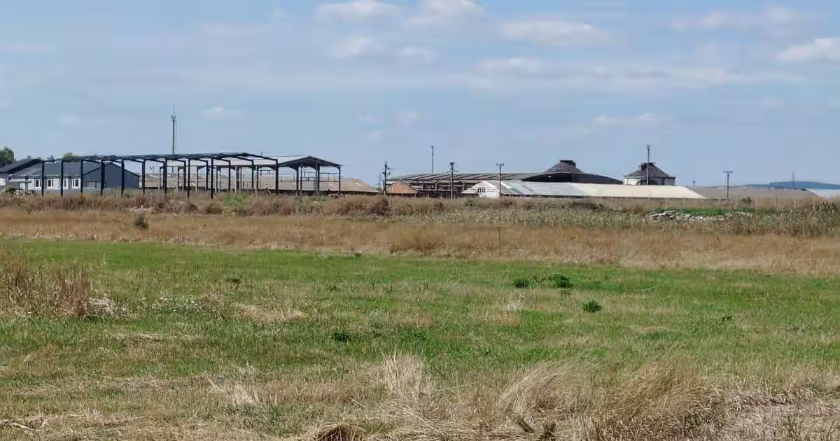 Teren intravilan industrial – Tomești, zona Contom