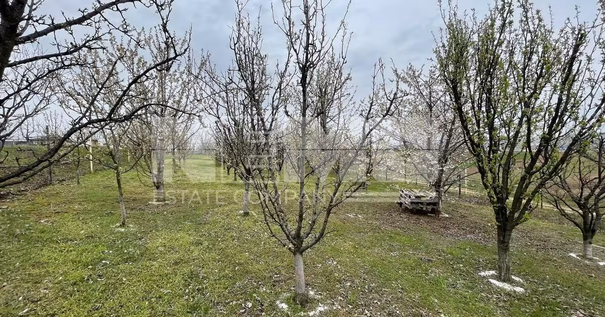 Teren Construcții intravilan de 24 mp, în Lisaura