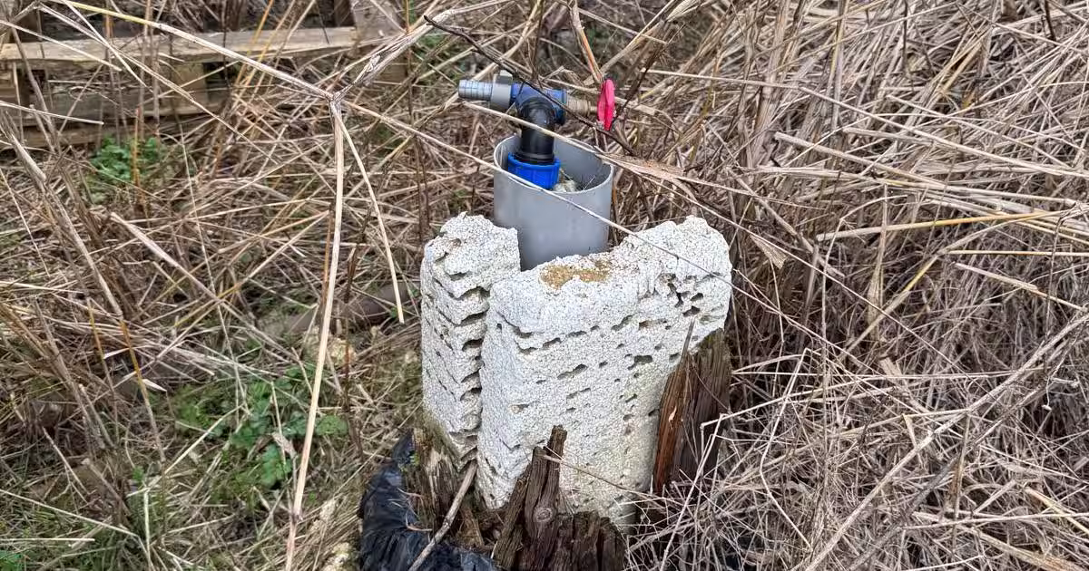 Vanzare Teren construibil 1800mp Magurele  Darasti  ilfov