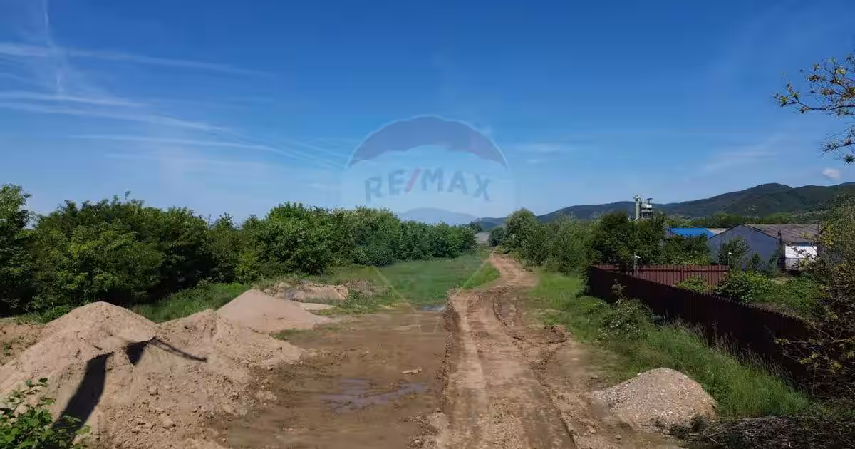 Teren Construcții intravilan de 11533 mp, în Merișor