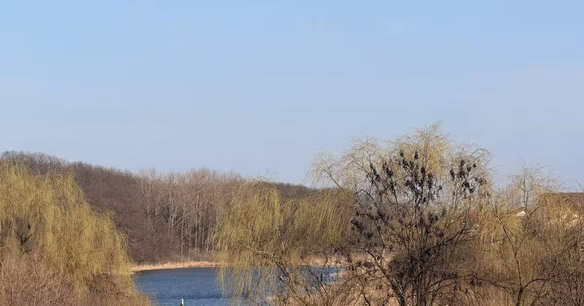 Teren Construcții intravilan de 1000 mp, în Moara Vlăsiei