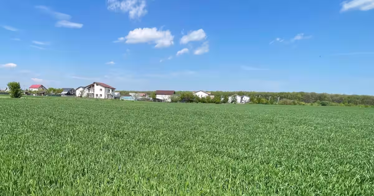 De vanzare teren construibil 1100mp - Cartierul nou langa padure, Moara Vlasiei