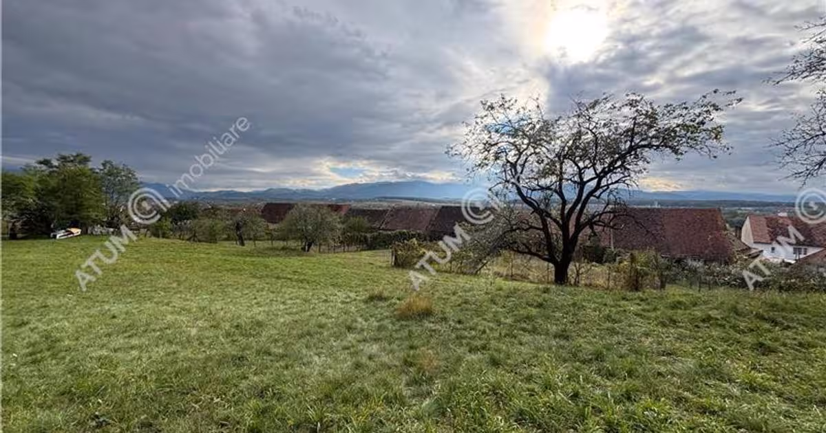 Teren Construcții intravilan de 1030 mp, în Mohu