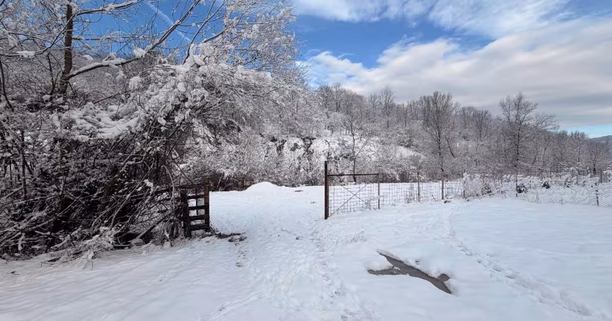 Teren Construcții intravilan de 6000 mp, în Moroeni