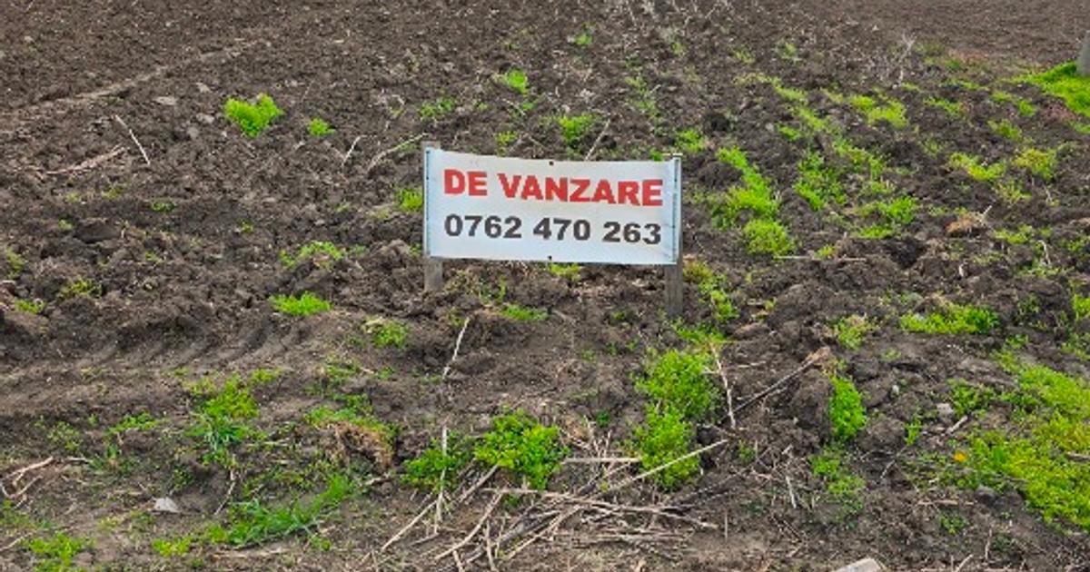 Teren intravilan Movilita 40km de Bucuresti 2 loturi de 500mp