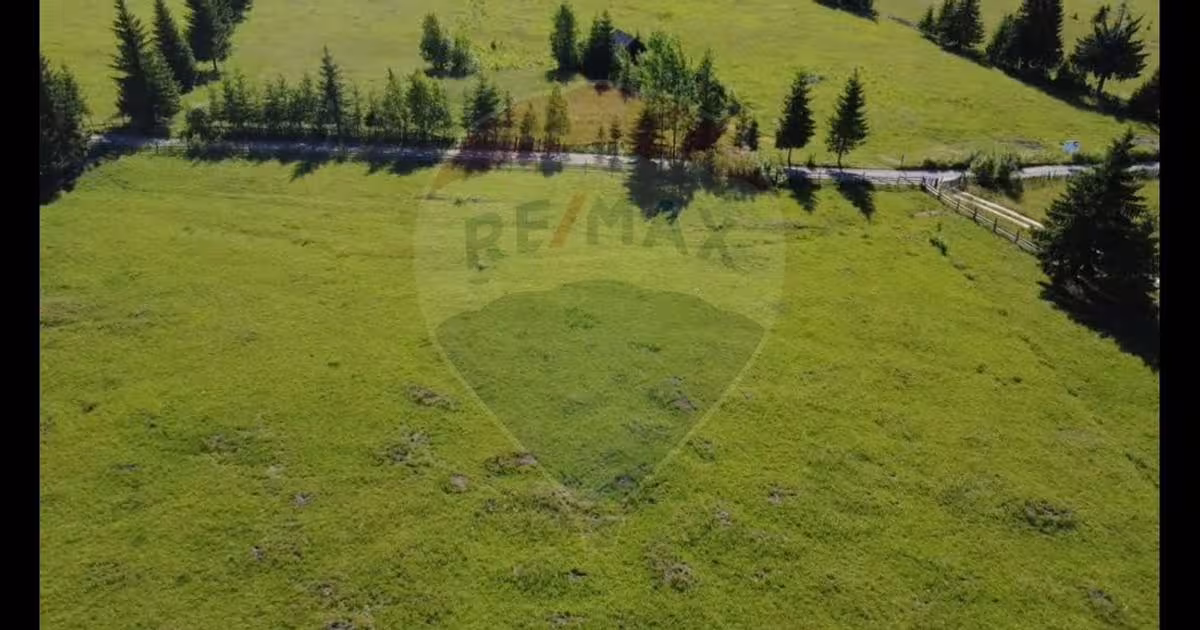 Teren Construcții intravilan de 19370 mp, în Neagra Șarului