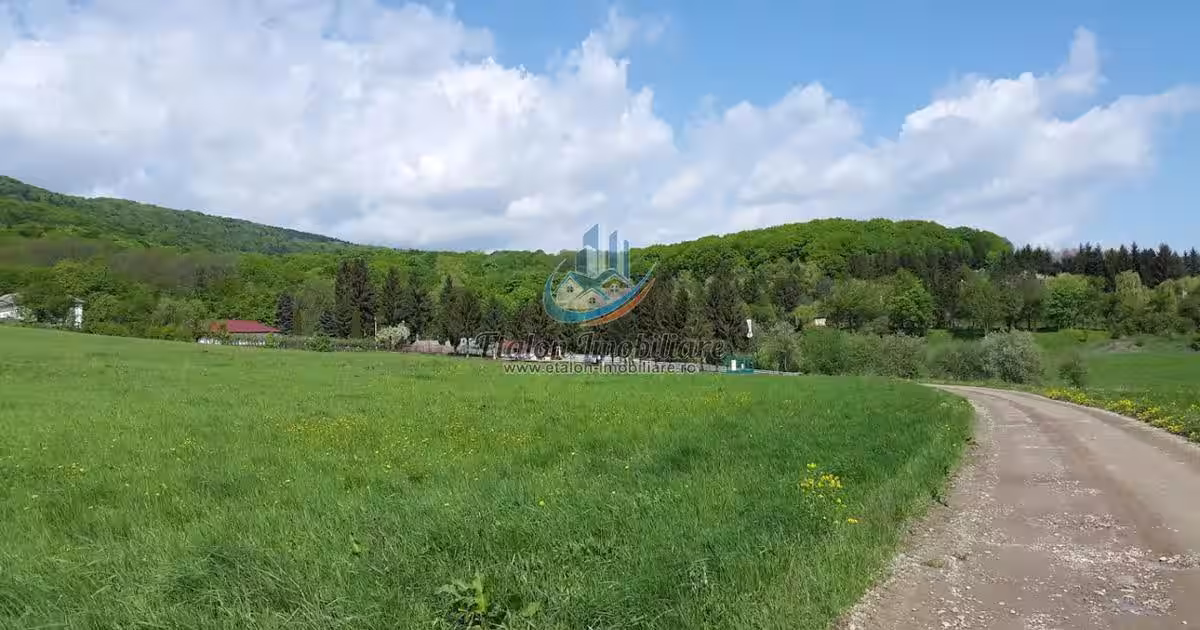 Teren 2300+1600 mp cu deschidere 16 m, Negresti, Jud. Neamt