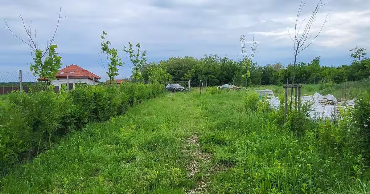 Teren Construcții intravilan de 1000 mp, în Periș