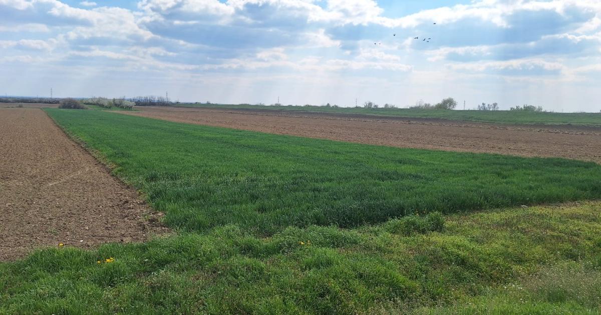 Teren Construcții intravilan de 4300 mp, în Petin