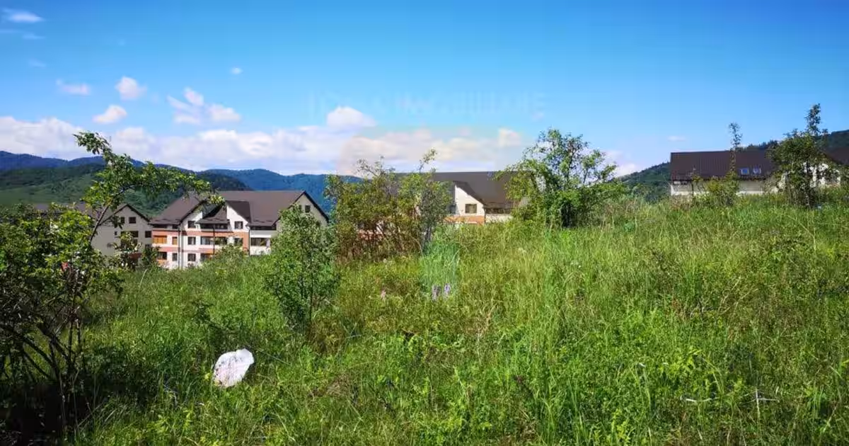 Oportunitate ! Teren intravilan 650 mp, Calea Romanului, Piatra Neamț