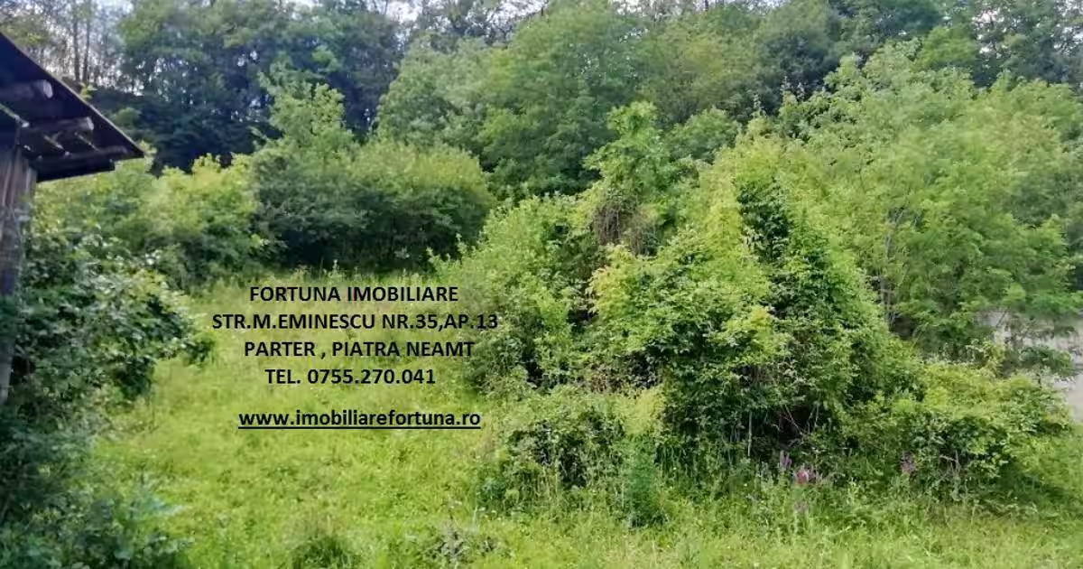 Teren 2000 mp, str.Nicu Albu, cadru natural superb