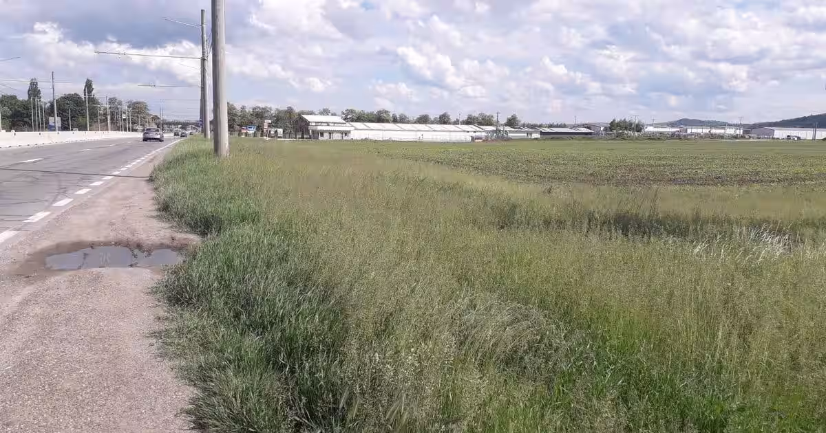 Teren Construcții intravilan de 8900 mp, în zona Exterior Est, Piatra-Neamț